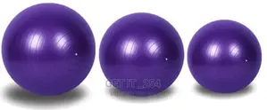 Yoga Exercise Ball