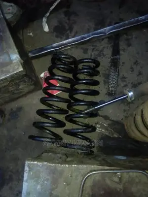 Toyota Avensis Rear Springs