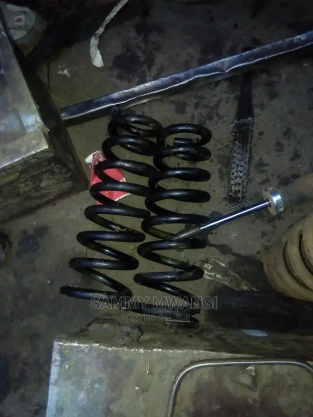Toyota Avensis Rear Springs
