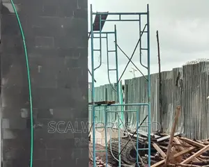 Ladders and Scaffolds Experts