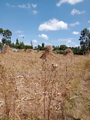1/2 Acre Kiplombe With Title