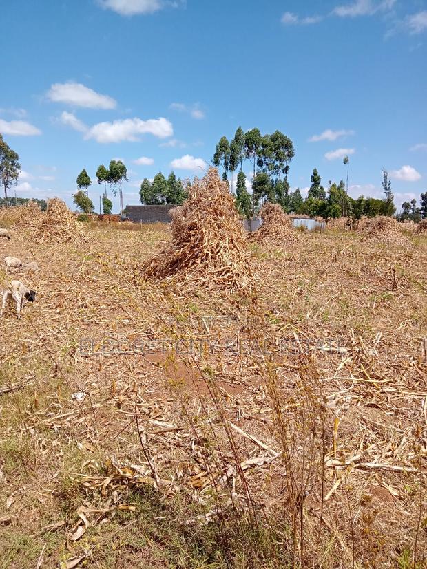1/2 Acre Kiplombe With Title - thumbnail 2