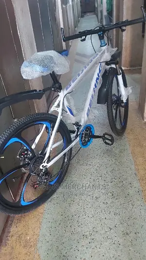 ALDUT Exercise Bike With Gear and Alloy RIMS