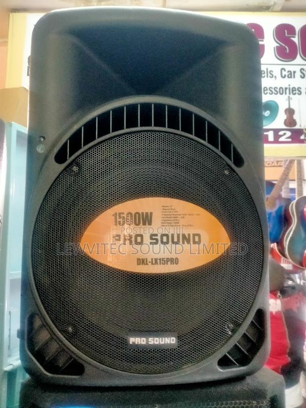1500 Watts Plastic Speakers