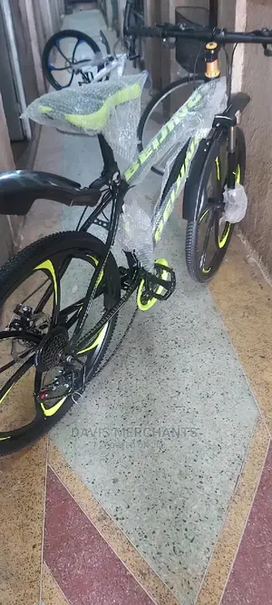 Stylish Alloy Rim Bike With Gear