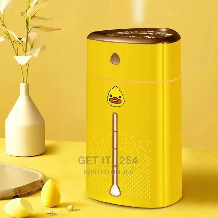 100ml Mist Humidifier Diffuser With Colourful Nighlight
