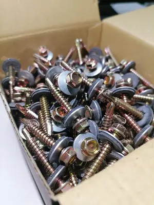 Self Tapping Screw (Greenhouse/Roofing) 38mm