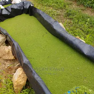 Azolla Poultry Feed and Azolla Propagation Material