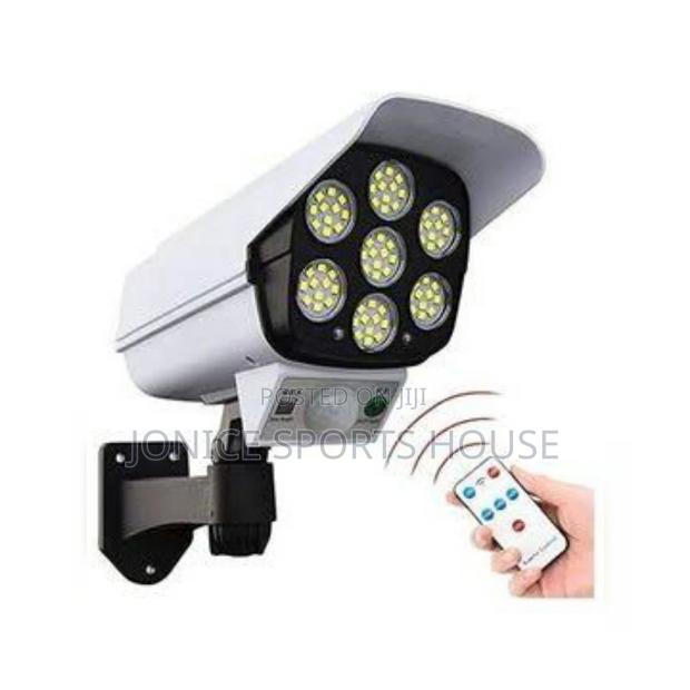 Solar Security Light