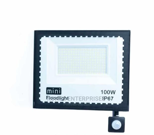 Floodlight 100 Wlts Mini - main view