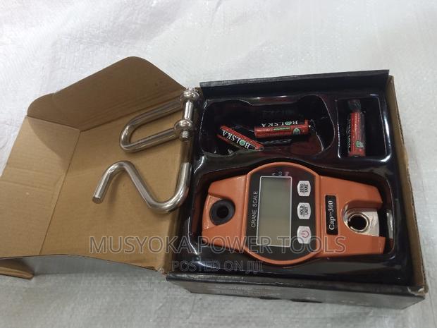 Crane Weighing Scale - main view