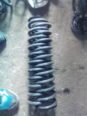 Mercedez Benz 124 Front Spring