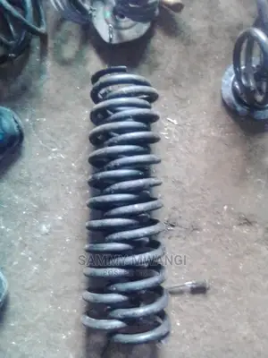 Mercedez Benz 124 Front Spring