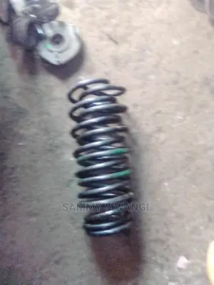 Mercedez Benz 124 Front Spring