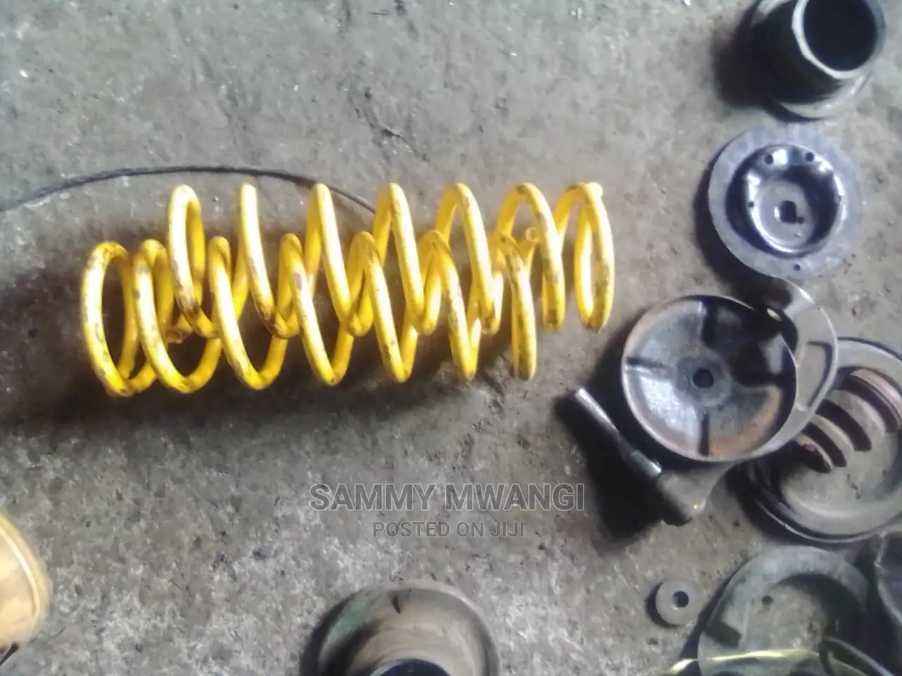 Toyota Feilder Rear Springs
