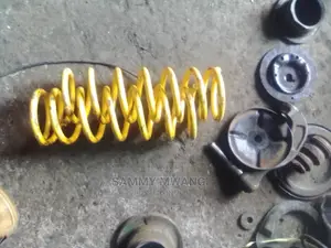 Toyota Feilder Rear Springs
