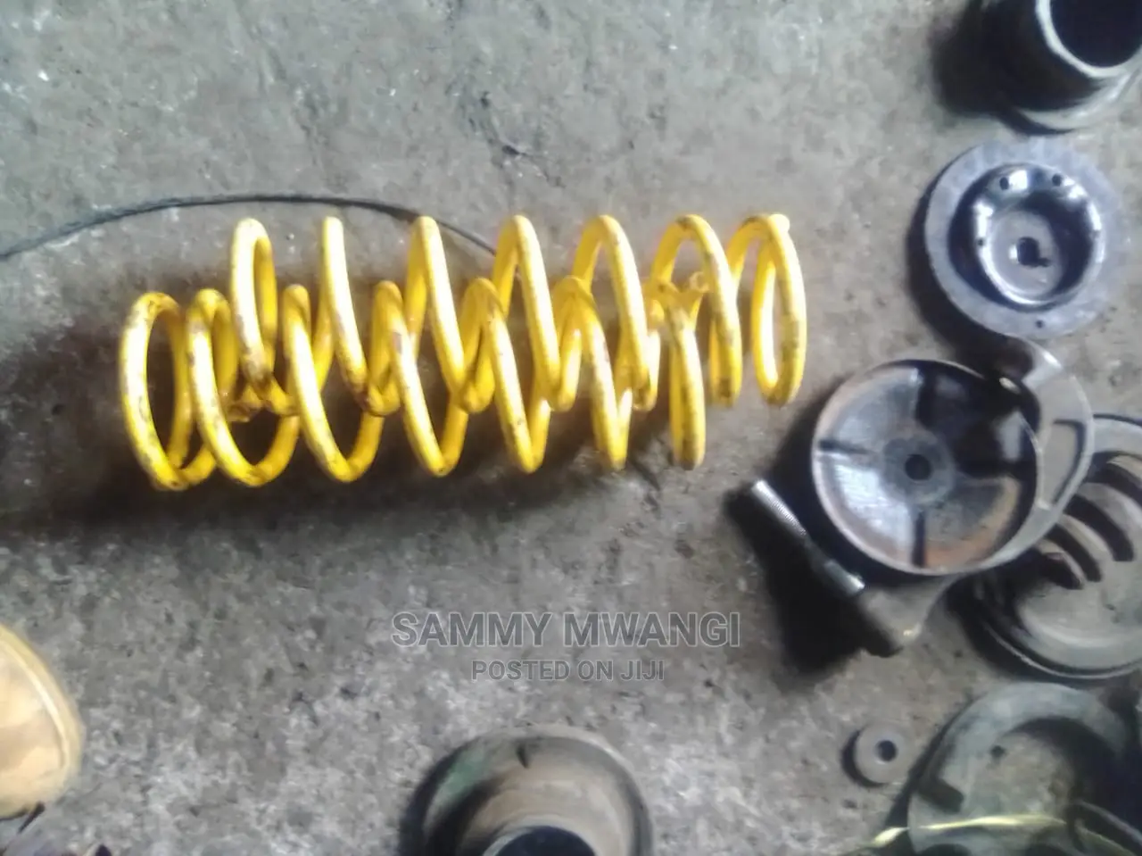Toyota Feilder Rear Springs