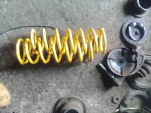 Toyota Feilder Rear Springs