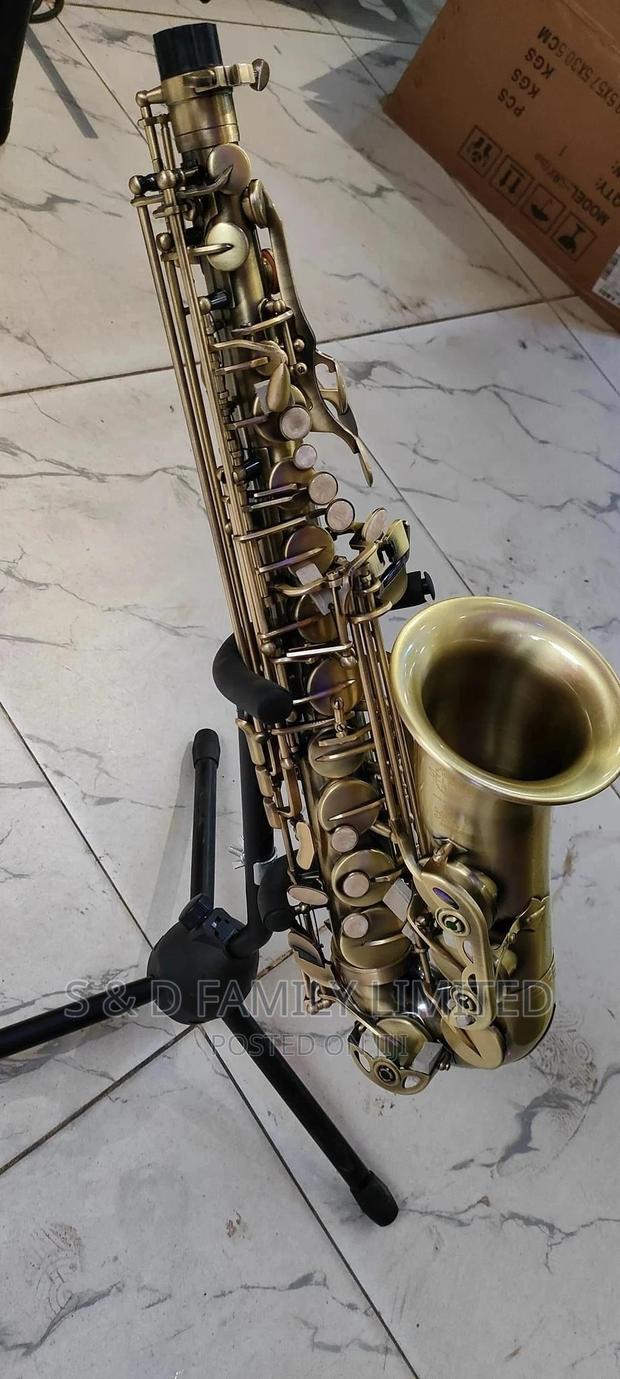 Selmer Alto Saxophone - main view