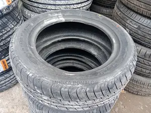 195/55r15 Boto Tyre