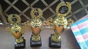Award Trophies - thumbnail 2