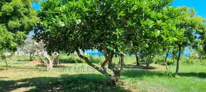 3bdrm Villa in Jumba Ruins, Mtwapa for sale