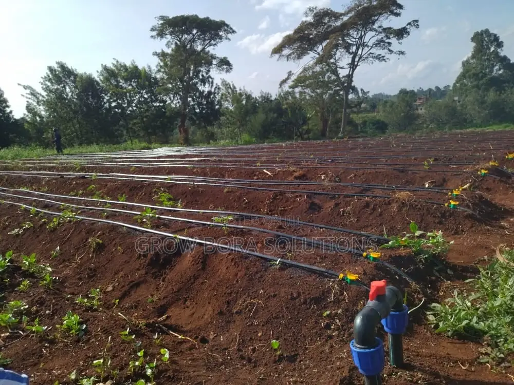 Irrigation Systems,Green House Construction and Repair,200 Micron Poly