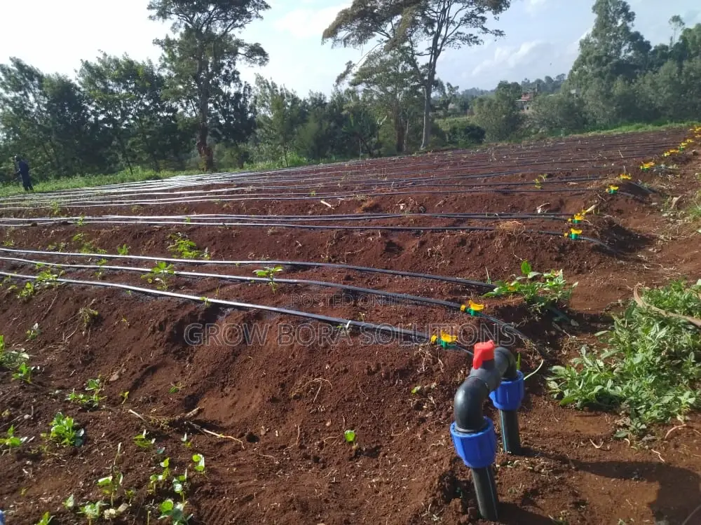 Irrigation Systems,Green House Construction and Repair,200 Micron Poly