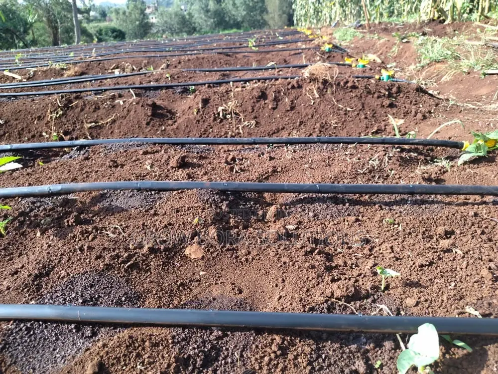 Irrigation Systems,Green House Construction and Repair,200 Micron Poly
