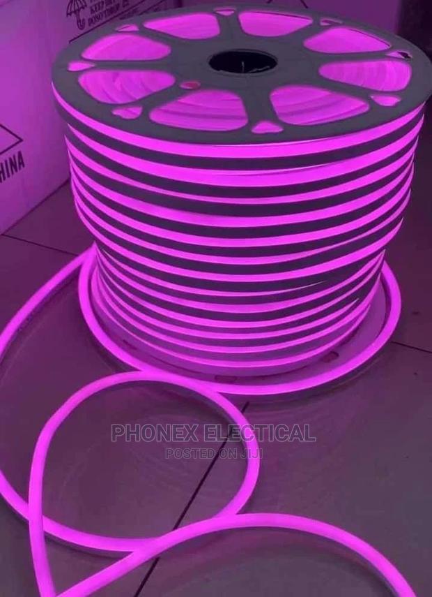 Snake Lights