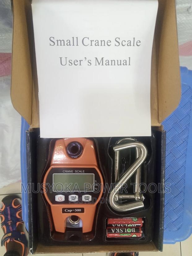 Industrial Crane Digital Weighing Scale