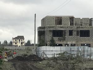 Ezra Large 50 By100 Katani - thumbnail 2