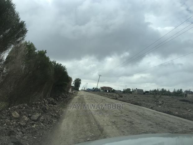 Ezra Large 50 By100 Katani - thumbnail 3