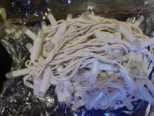 10 Meters Warm White Christmas Lights