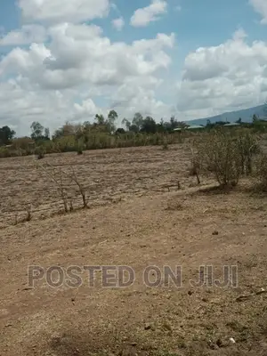Plots for Sale 2km From Tarmac ^WW