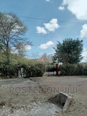 Plots for Sale 2km From Tarmac ^WW - thumbnail 2