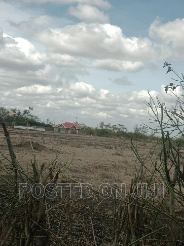 Plots for Sale 2km From Tarmac ^WW - thumbnail 3