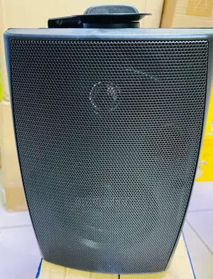 Wall Mount Speakers (100V Line)