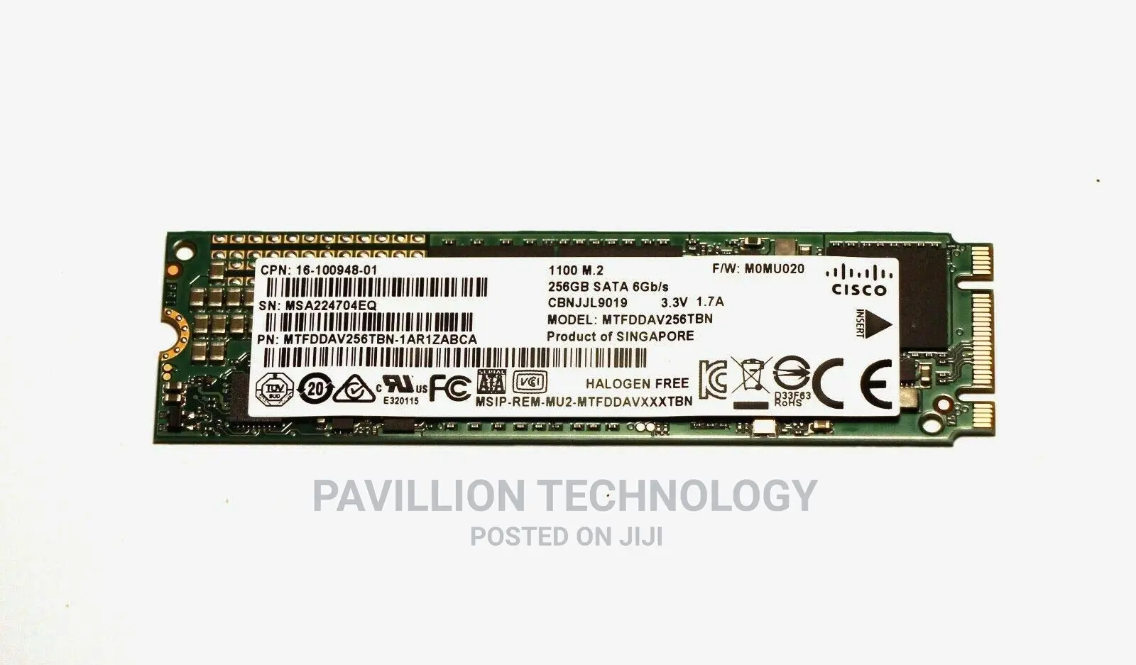 2.5 SSD King Solid