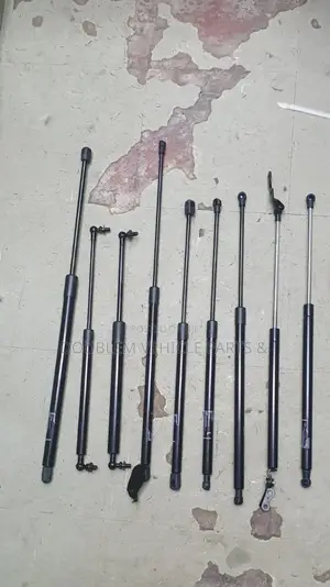 Boot Shocks Assorted