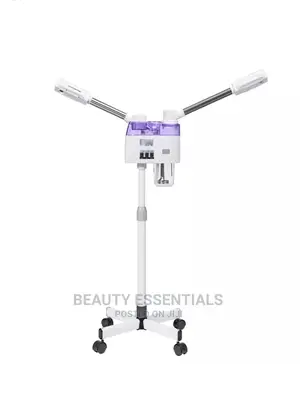 Cold and Hot Steam Facial Steamer