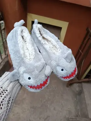 Indoor Sandals