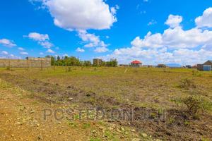 Neema Court Kamakis - thumbnail 2