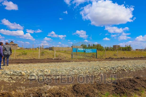 Neema Court Kamakis - thumbnail 4