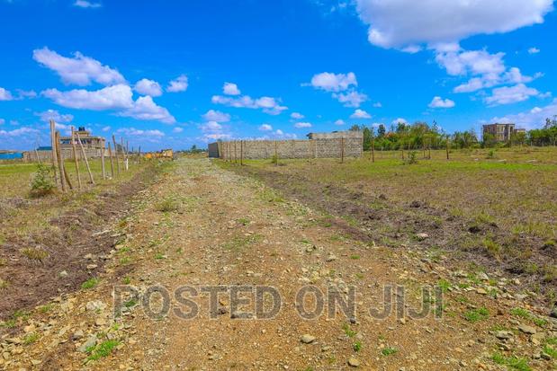 Neema Court Kamakis - thumbnail 3