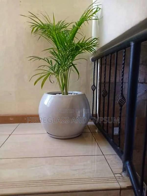 Round 26 Fibre Pot Complete With Palm Plant