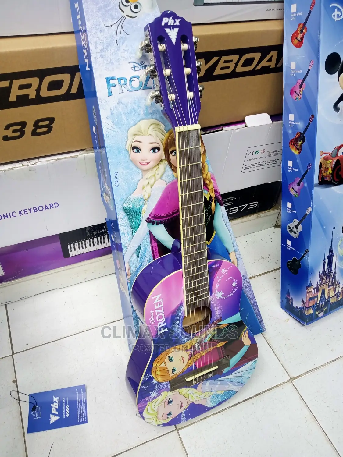 Acoustic Guitar Purple
