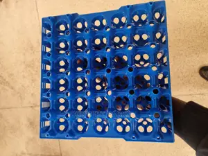 60pcs Kenpoly Premium Quality Egg Trays.
