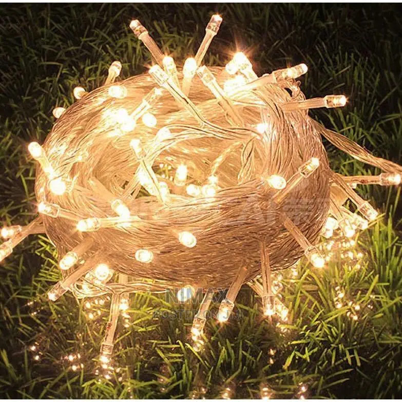 100 LED 10M String Light Christmas Lights (White Warm)