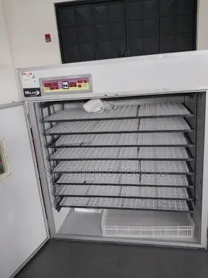 Egg Incubator 2200
